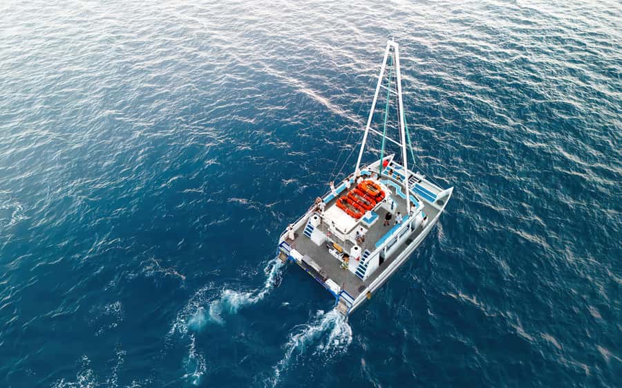 Oahu: Sunset Sail Cruise in Waikiki - Two hours along Waikiki’s coast