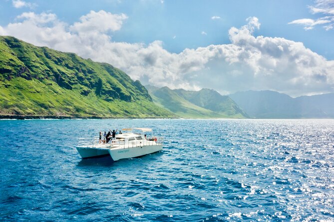 Oahu: Swim with Dolphins on the West Coast - Why Oahu’s west coast makes a good dolphin setting