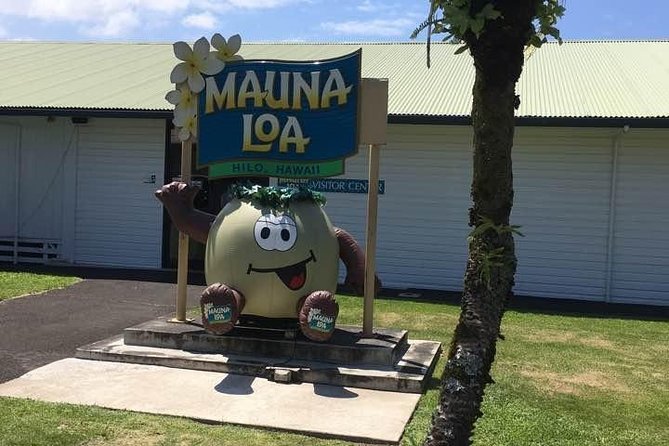 Oahu to Big Island : Big Island Volcano Helicopter Tour & Hilo 1 Day Tour - Flying over the Big Island volcano