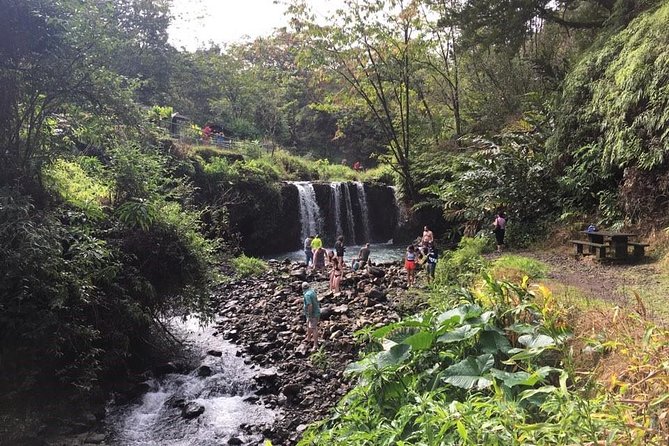 Oahu to Maui 1 Day Trip : Road to Hana Day Trip from Oahu with Air Ticket - The Road to Hana: beautiful, narrow, and demanding
