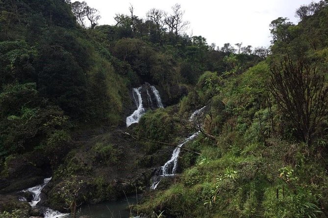 Oahu to Maui 1 Day Trip : Road to Hana Day Trip from Oahu with Air Ticket - The early airport start and Maui transfer