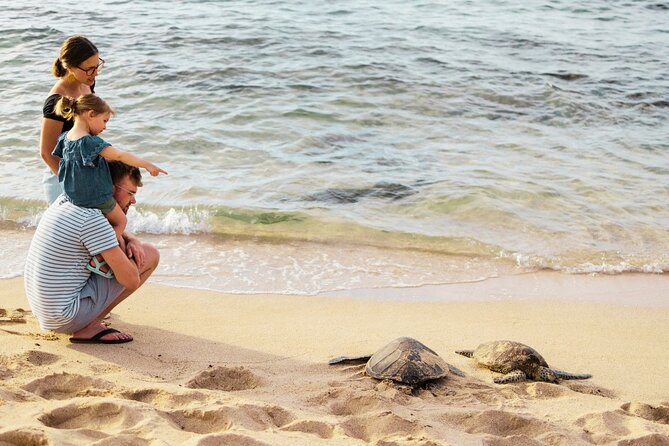 Oahu Ultimate Circle Island: 30 Spots, 10 Epic Stops - How much value do you get for $108?