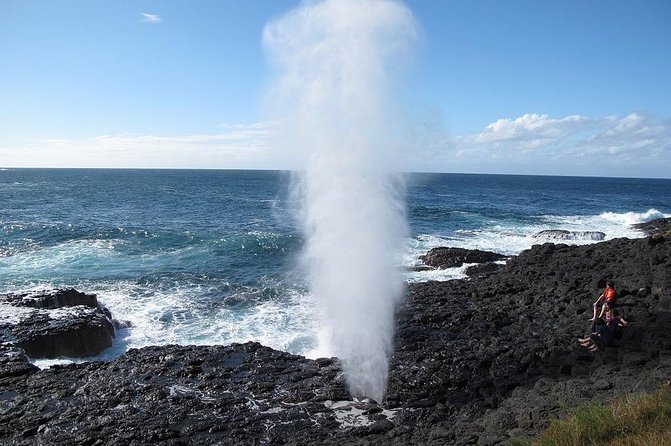 Oahu Ultimate Circle Island Tour Full Day Experience - Macadamia Nuts and the Road to Kualoa