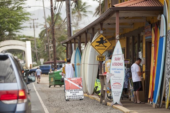 Oahu Ultimate Circle Island Tour Full Day Experience - The One-Hour Turtle and Beach Stop