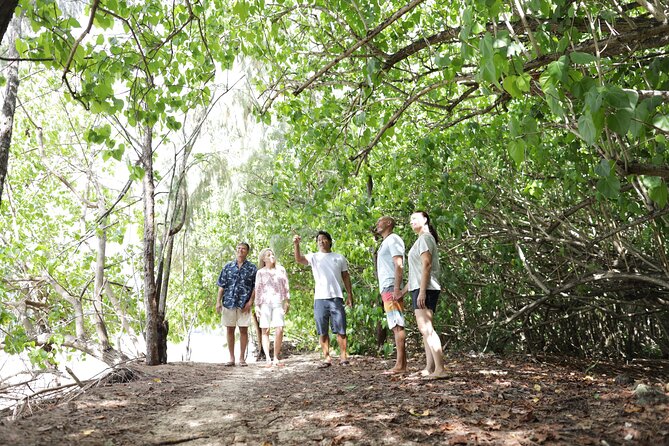Oahu Uncovered: Full Island Tour with a Local Guide - Crossing toward the North Shore