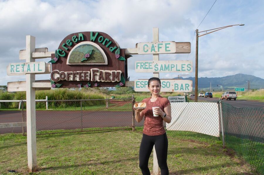 Oahu: Valley of Waimea Falls Swim & Hike with Lunch & Dole - Walking the paved path through Waimea Valley