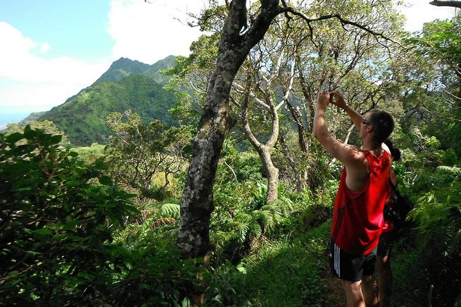 Oahu Volcanic Rainforest Hiking Adventure - Key points to know before booking
