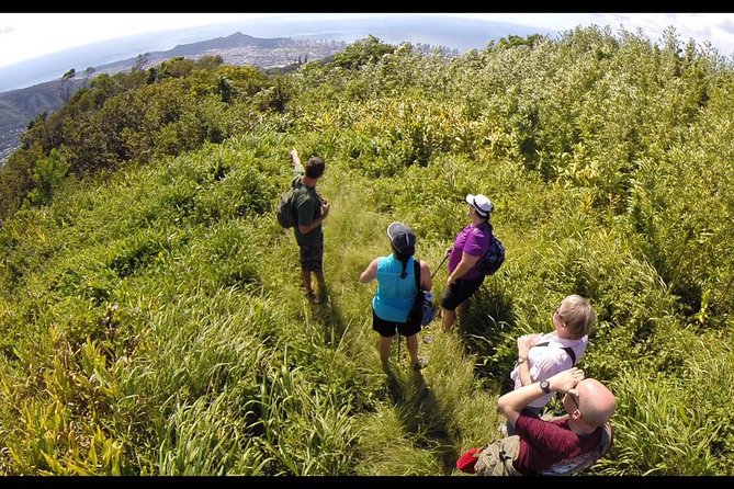 Oahu Volcanic Rainforest Hiking Adventure - Leaving Waikiki for the Ko’olau foothills
