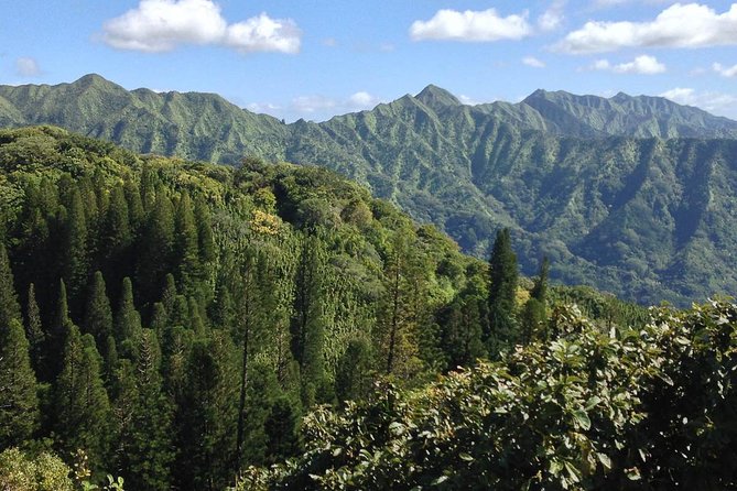 Oahu Volcanic Rainforest Hiking Adventure - What the $92.31 price includes