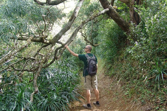 Oahu Volcanic Rainforest Hiking Adventure - How to prepare for the morning