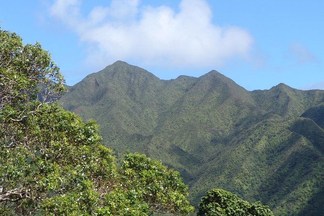 Oahu Volcanic Rainforest Hiking Adventure - The first steps into a 75-acre rainforest