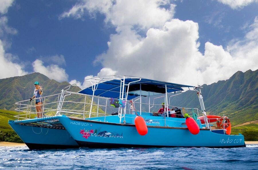 Oahu: Waikiki BYOB Sunset Cruise - Watching for turtles, dolphins, and whales