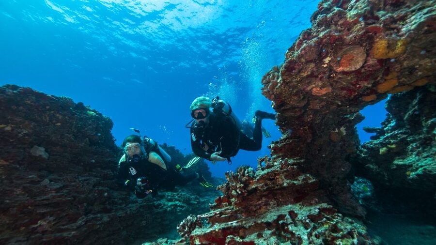 Oahu: Waikiki Discovery Scuba Diving for Beginners - Starting at Kewalo Basin in Honolulu