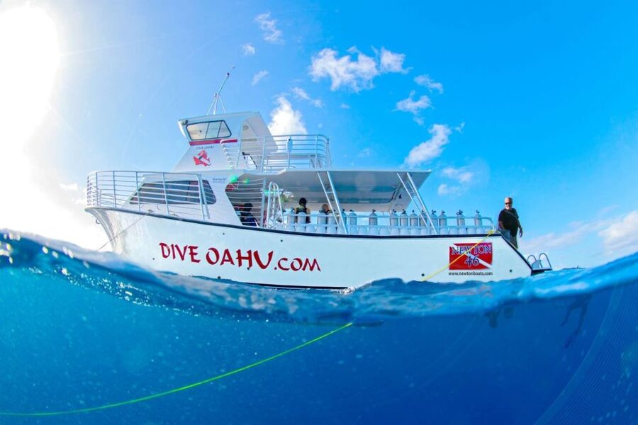 Oahu: Waikiki Discovery Scuba Diving for Beginners - Practical preparation for a smoother morning