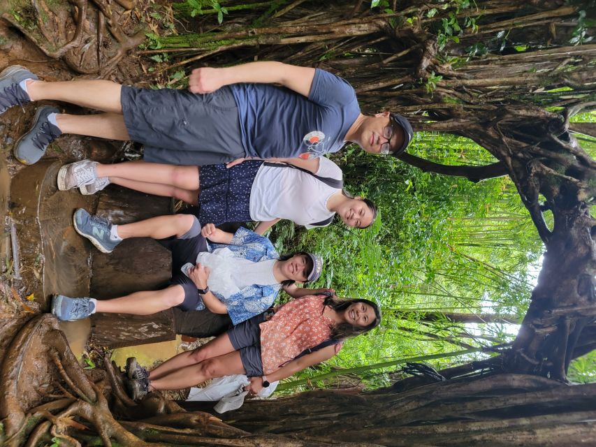 Oahu: Waikiki E-Bike Ride and Manoa Falls Hike - Timing the four-hour experience