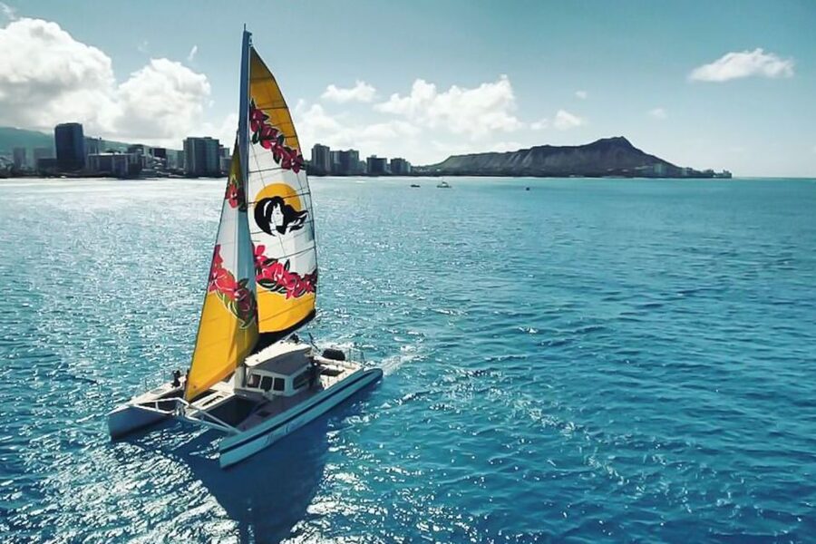 Oahu: Waikiki Eco-Friendly Morning Whale Watching Cruise - Key points to know before boarding