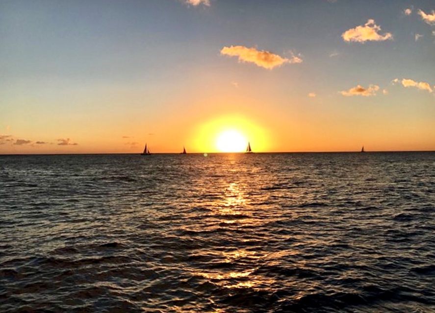 Oahu: Waikiki Glass Bottom Boat Sunset Cruise - Waikiki looks different from offshore