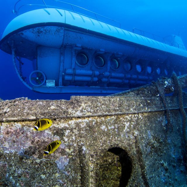 Oahu: Waikiki Submarine Tour - Practical ways to enjoy the ride