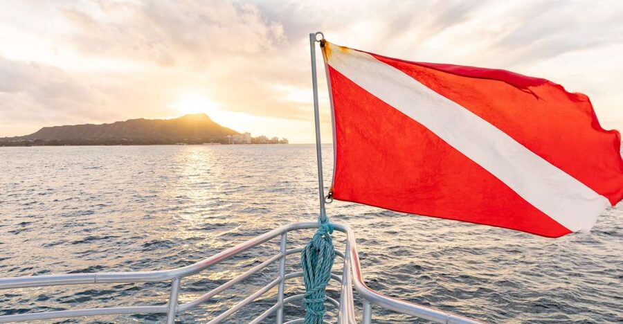 Oahu: Waikiki Turtle Canyons Cruise and Snorkel Excursion - The 90-minute Turtle Canyon stop