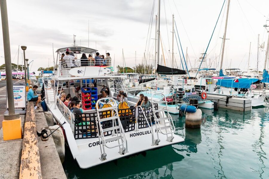 Oahu: Waikiki Turtle Canyons Cruise and Snorkel Excursion - Safety help for first-time snorkelers