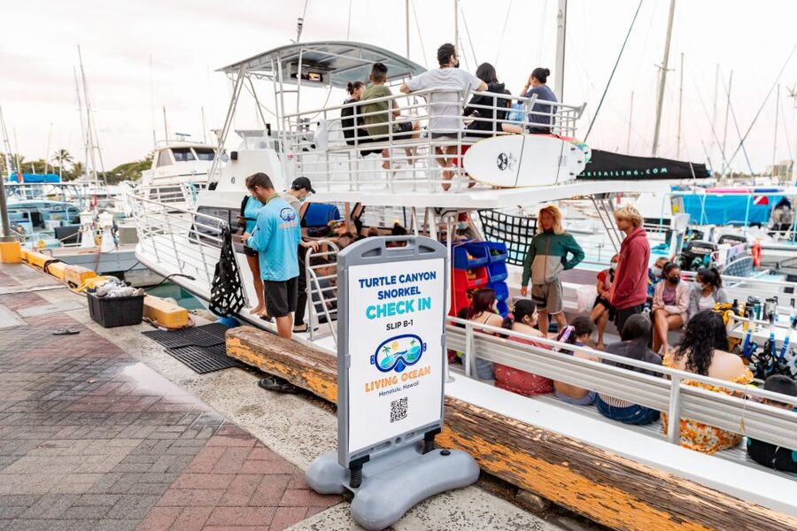 Oahu: Waikiki Turtle Canyons Cruise and Snorkel Excursion - Sea sickness and the realities of a small boat