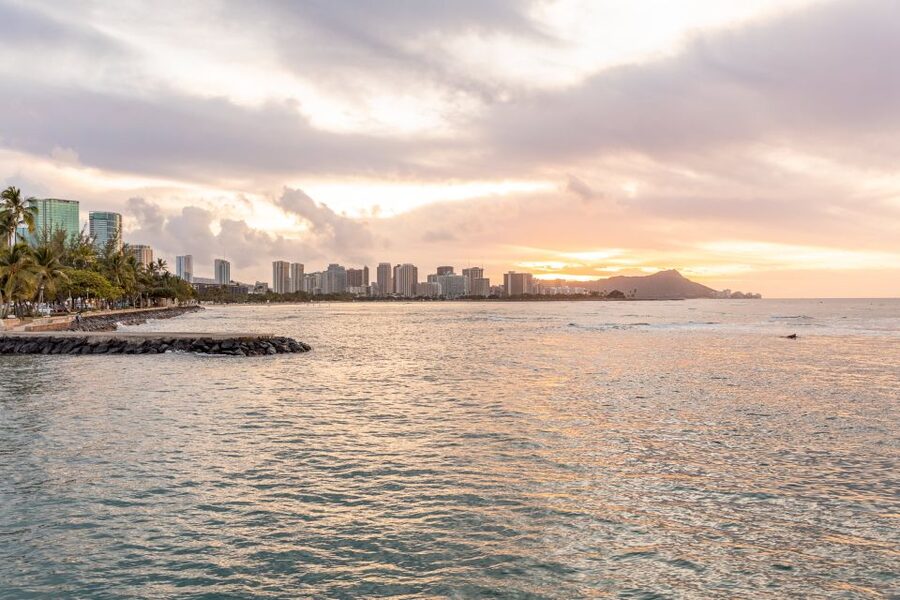 Oahu: Waikiki Turtle Canyons Cruise and Snorkel Excursion - How much value do you get for $89?