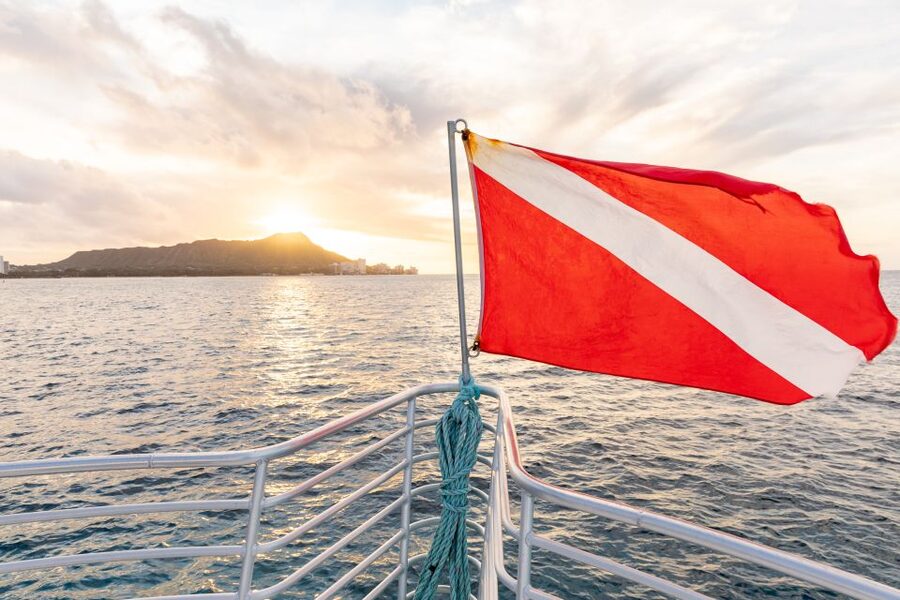 Oahu: Waikiki Turtle Canyons Cruise and Snorkel Excursion - What makes Turtle Canyon worth visiting