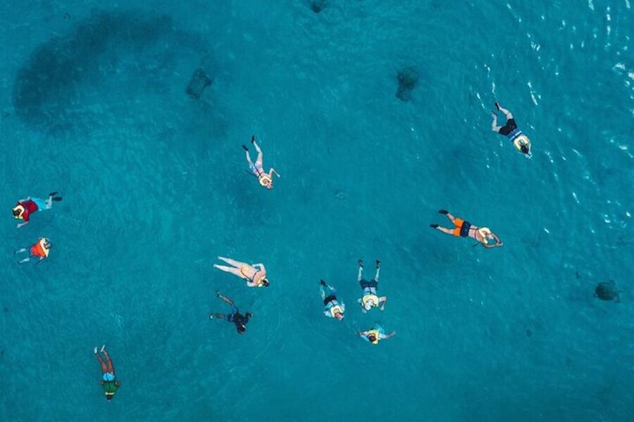 Oahu: Waikiki Turtle Snorkeling Adventure Cruise - Key points to know before booking