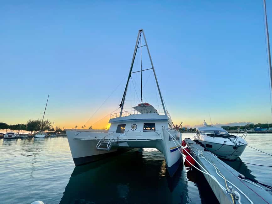 Oahu: Waikiki Whale Watching Cruise - Snacks, drinks, and family comfort