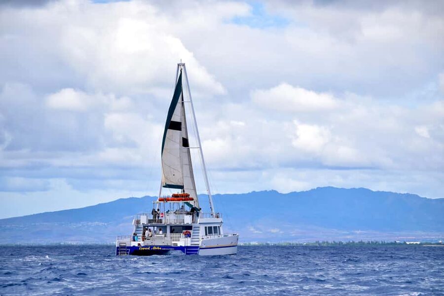 Oahu: Waikiki Whale Watching Cruise - The double-decker boat and where to sit