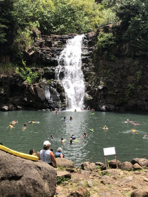 Oahu: Waimea Falls & valley & North Shore day - What the waterfall swim is really like