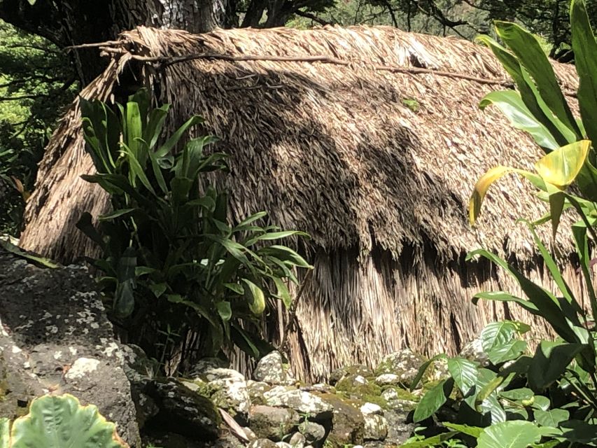 Oahu: Waimea Falls & valley & North Shore day - Afternoon beaches, turtles, and local crafts