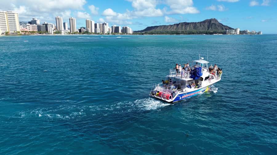 Oahu: Whale Watching Cruise Whales Guaranteed - January to April is the time to go