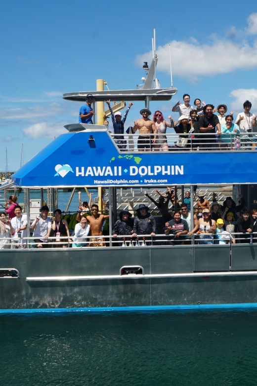Oahu: Wild Dolphins Swim Turtle Snorkel Tour & Waterslide - Makaha snorkeling with turtles and reef fish