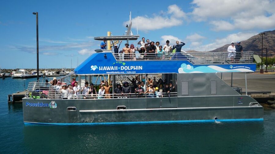 Oahu: Wild Dolphins Swim Turtle Snorkel Tour & Waterslide - A floating playground after the snorkeling