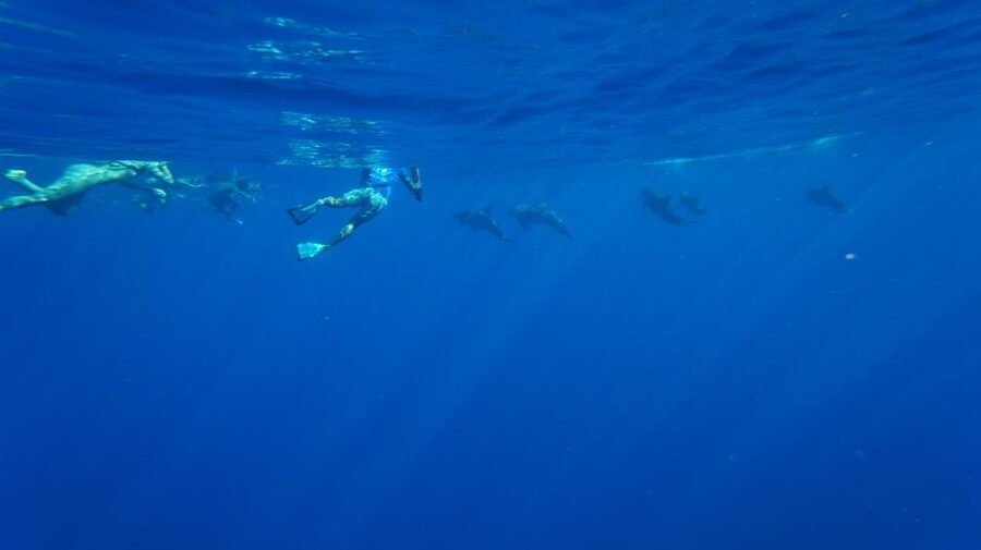 Oahu: Wild Dolphins Swim Turtle Snorkel Tour & Waterslide - Hearing the Oli before meeting the ocean