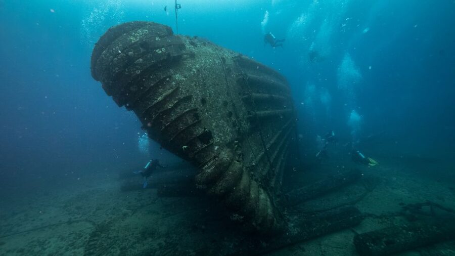 Oahu: Wreck & Reef Scuba Dive for Certified Divers - Choosing Between Sea Tiger and the Two Shipwrecks