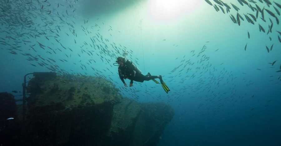 Oahu: Wreck & Reef Scuba Dive for Certified Divers - Gear, Guides, and Comfort on Board