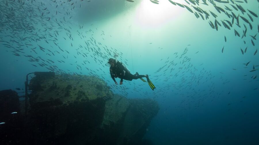 Oahu: Wreck & Reef Scuba Dive for Certified Divers - Who Will Get the Most From This Outing?