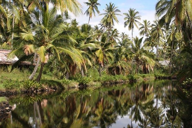 One-Day Tour Hawaii Movie Tour: Island Hopping from Oahu to Kauai - Why This Kauai Film Tour Works From Oahu
