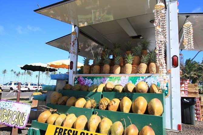 One-Day Tour Hawaii Movie Tour: Island Hopping from Oahu to Kauai - Film Locations From Blue Hawaii to Jurassic Park