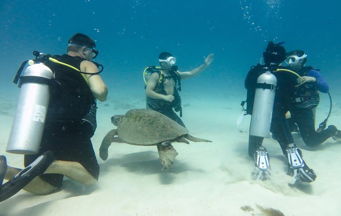 Open Water Scuba Certification - What this Honolulu certification course really involves