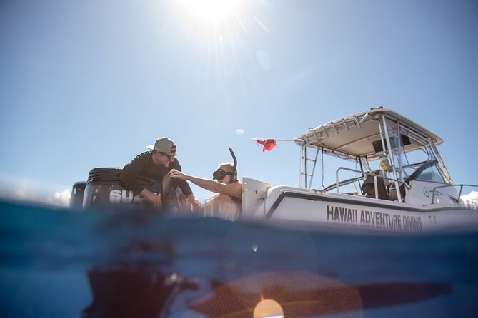Open Water Shark Dive - The ride back adds useful context