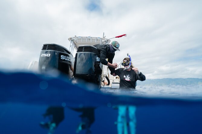 Open Water Shark Dive - Underwater pictures are worth considering