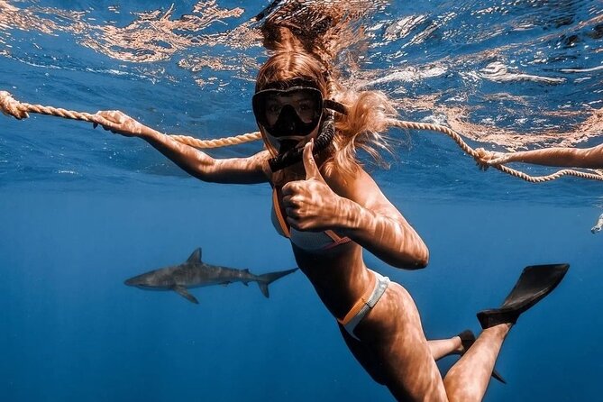 Open Water Shark Dive - Is $161.57 a fair price?