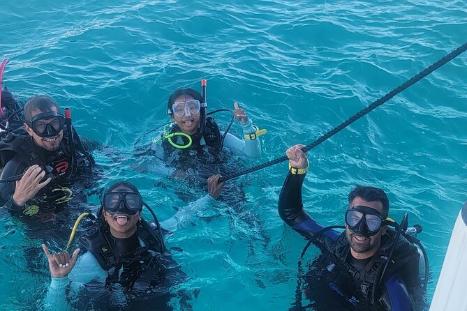 PADI Open Water Certification Course Shared Experience - Learning scuba in Honolulu, one skill at a time