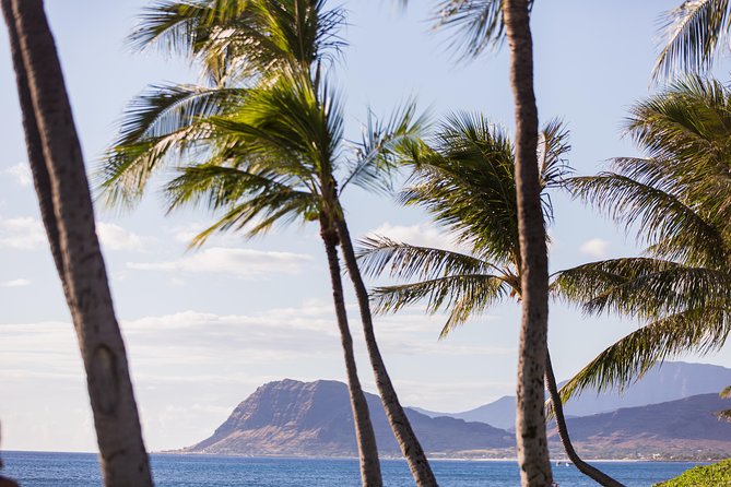 Paradise Cove Luau - The buffet: Hawaiian favorites with familiar choices