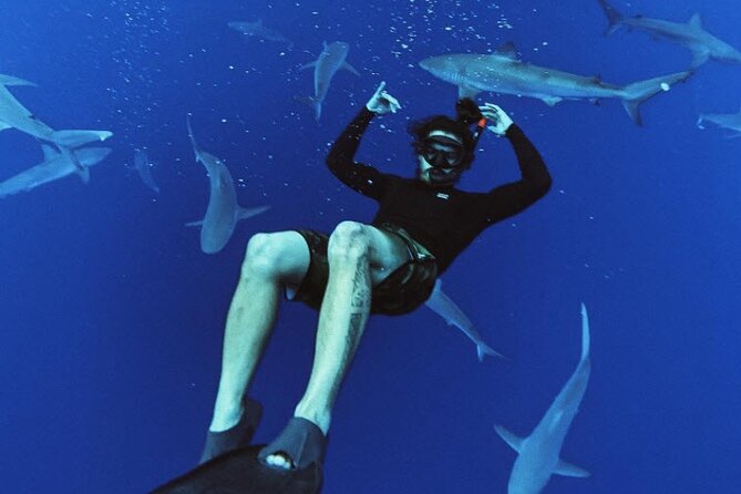 Pelagic Shark Dive Tour - The ride from Haleiwa to the open water