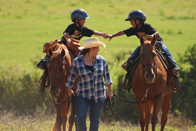 Pony Rides For Kids - Key points to know before booking