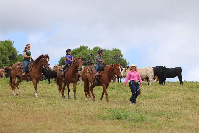 Pony Rides For Kids - A first horse ride that does not overwhelm small children